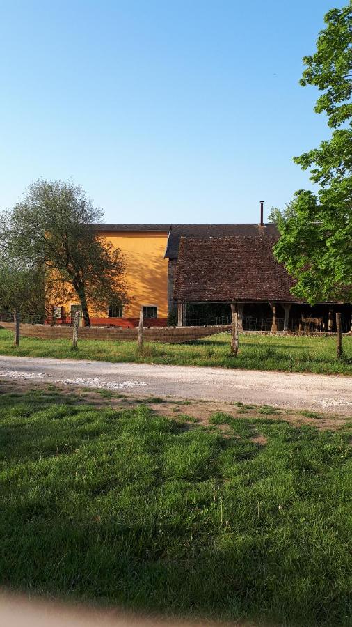 La Maison Du Potier Proche De Guedelon Saint-Amand-en-Puisaye Esterno foto